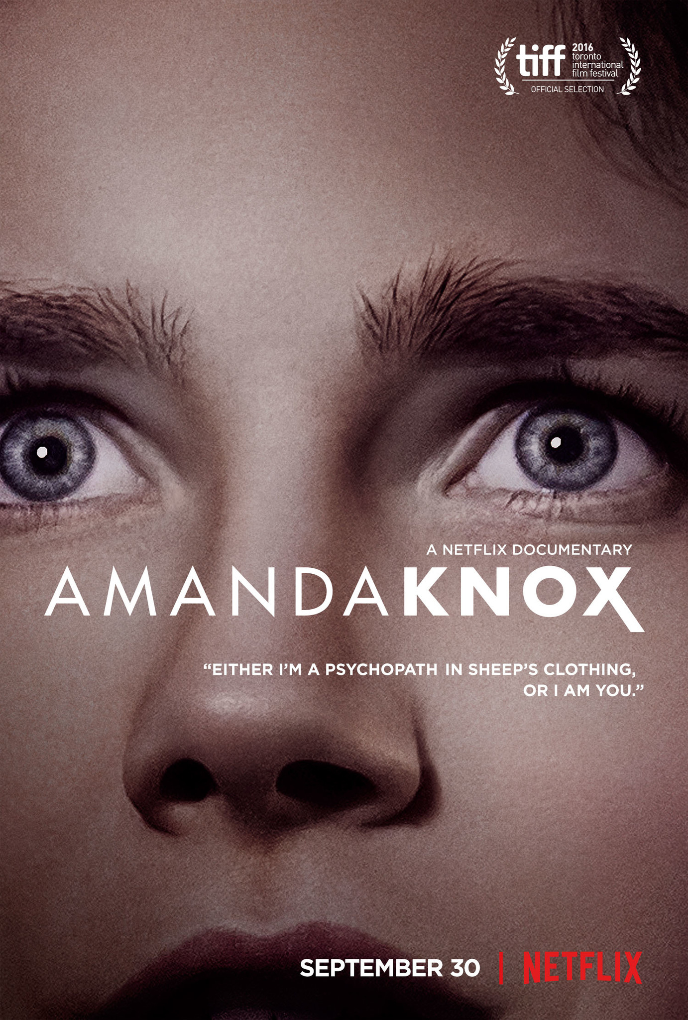 Amanda Knox Case